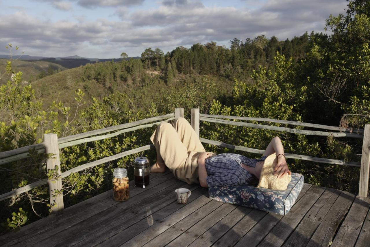 Forest Hills นิสนา ภายนอก รูปภาพ