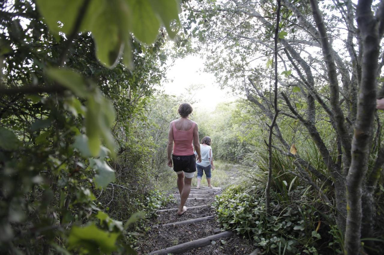 Forest Hills นิสนา ภายนอก รูปภาพ